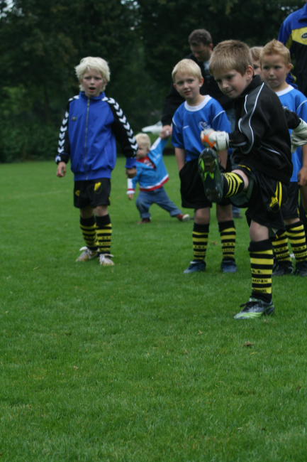 Sander